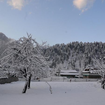 West End Lodges Neelum المظهر الخارجي الصورة